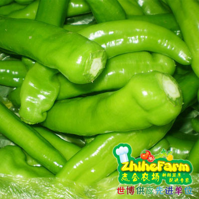 志合农场 无公害新鲜蔬菜，自家农场配送直供